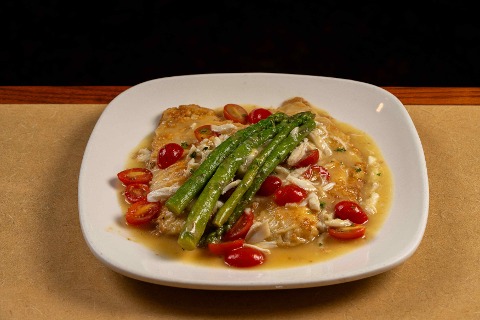 Flounder Bontino